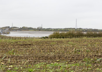 field and river mouth